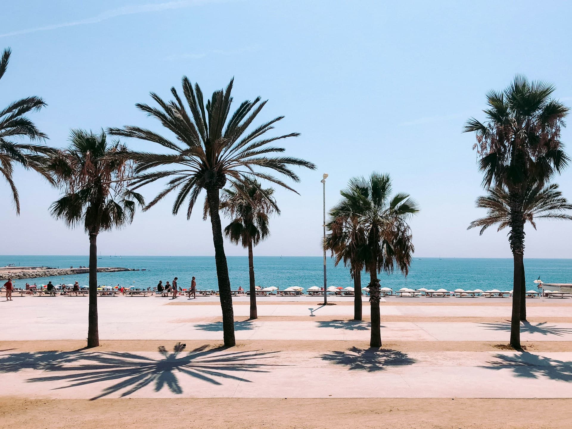 Beach Background